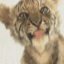 sticker_2166039_13437855