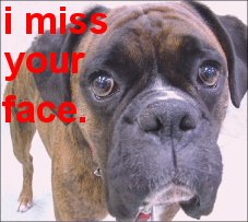 sticker_27118118_42216976