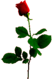 sticker_7789650_47458830