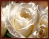 sticker_23012953_39735335