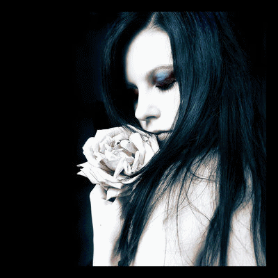 sticker_17161500_39254045