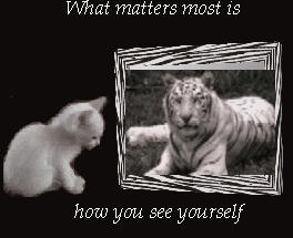 sticker_9497472_29417863