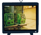 sticker_29693575_40288869