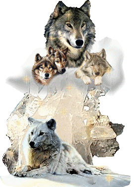 sticker_17655176_23315301