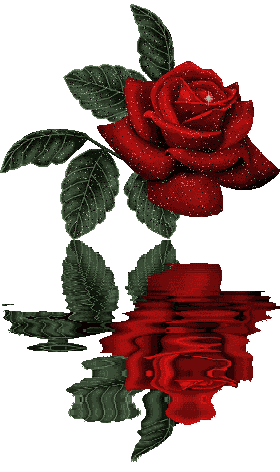 sticker_16562055_37911003