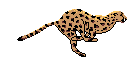 sticker_16077486_21114257