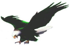 sticker_11588557_15655168