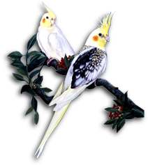 sticker_14950613_26061498