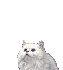 sticker_24276774_33893385