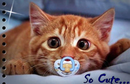 sticker_21183473_35617659
