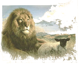 sticker_5927639_12115797