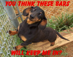 sticker_25177357_40370111