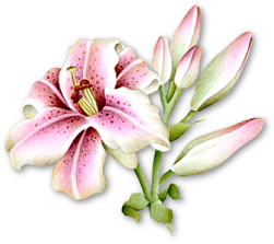 sticker_20657373_37664539