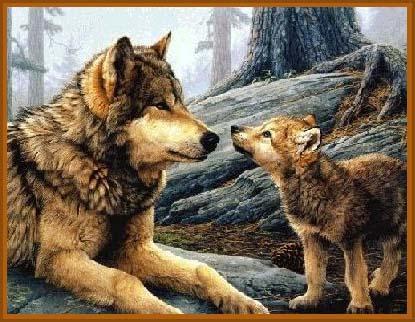 sticker_21555214_30509261