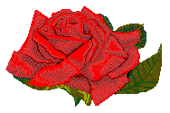 sticker_5422686_24751594