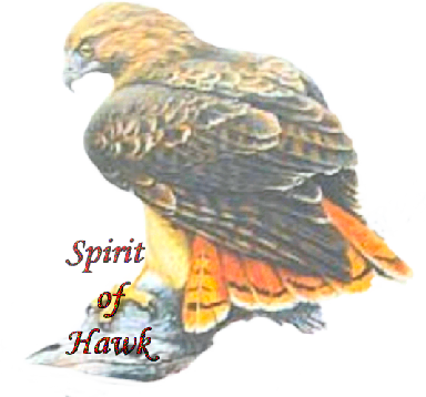 sticker_24286434_36786538