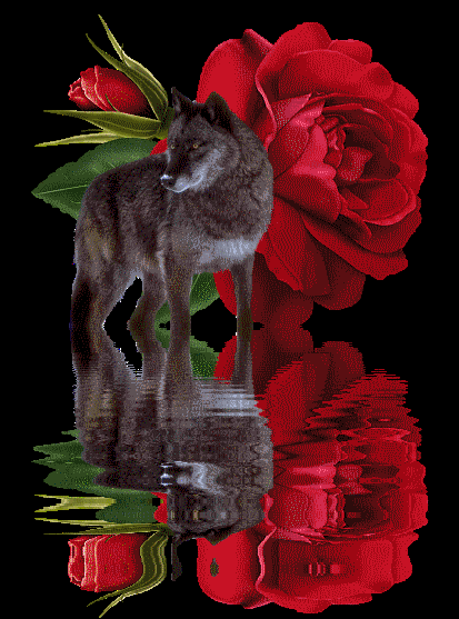 sticker_9247348_28153865