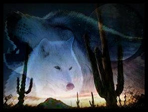 sticker_1445224_2675692