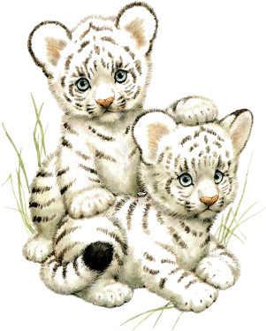 sticker_2175267_38075609