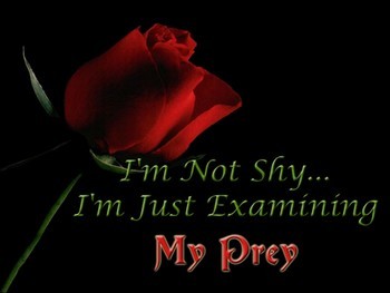 sticker_1222393_37656409