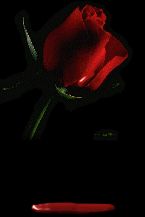 sticker_13214246_35135163