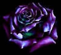 sticker_29583637_40169724
