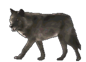 sticker_5412502_17494724
