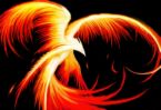 sticker_15263295_21979652