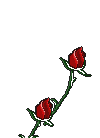 sticker_5374133_23613735