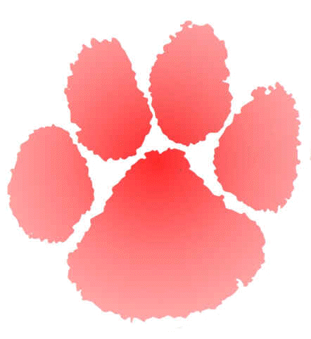 sticker_2273412_19965119