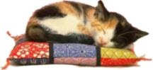 sticker_21363378_28723936