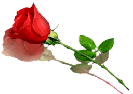 sticker_14965695_21291244
