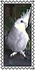 sticker_2749087_34975524