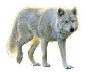 sticker_4924986_8242224