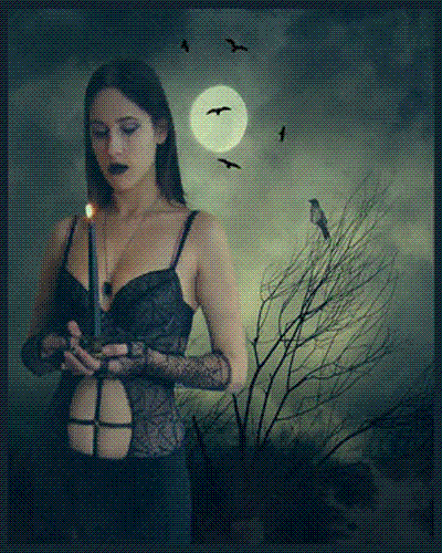 sticker_11692312_23065855