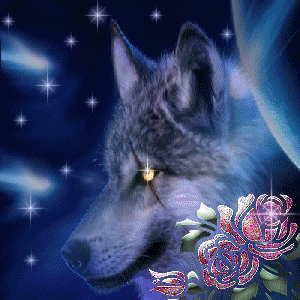 sticker_14017001_37729091