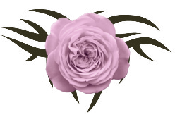 sticker_7682744_11482332