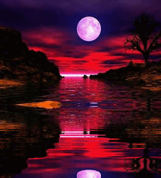 sticker_22363158_33053642
