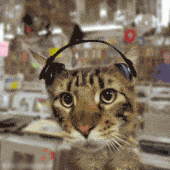 sticker_12655000_16290197