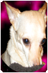 sticker_12602213_30809069