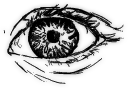 sticker_22029990_45726282