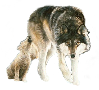 sticker_18084735_24068900