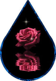 sticker_1983514_8915337
