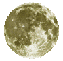 sticker_6573568_12394733