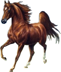 sticker_25587593_36357058
