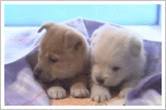 sticker_8355972_34269709