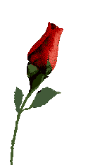 sticker_28042473_41281005