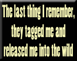 sticker_19124240_32535507