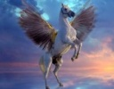 sticker_25177357_38886431