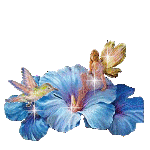 sticker_22587919_35805156